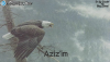 1741258950782.png